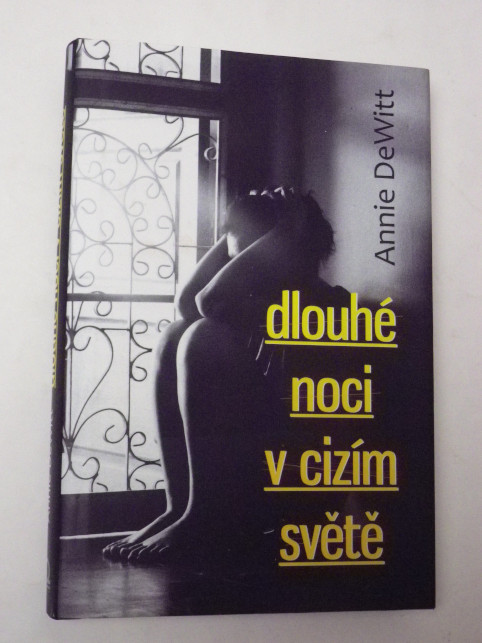 Annie DeWitt DLOUHÉ NOCI V CIZÍM SVĚTĚ