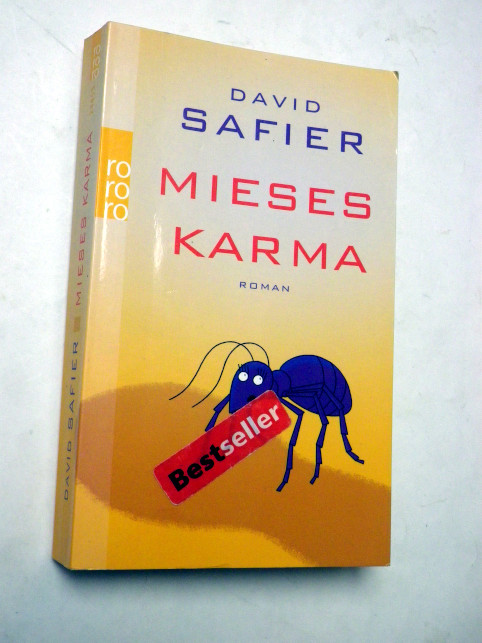 David Safier MIESES KARMA